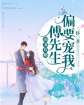 错撩成瘾：傅先生乖乖宠我
