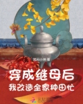 穿成继母后，我改造全家种田忙