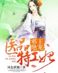 邪王绝宠：医品特工妃