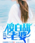 我的傻白甜老婆(又名:首席继承人)