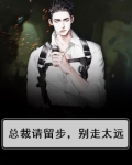 总裁请留步，别走太远
