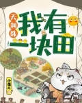 天渊珠:我有一块田