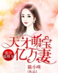 帝少追缉令,天才萌宝亿万妻