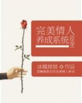 完美情人养成系统