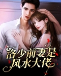 洛少前妻是风水大佬
