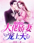 闪婚成瘾:大佬娇妻宠上天