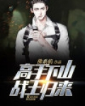 高手下山，战王归来