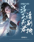 神偷为尊：逆天夫君，请别拽