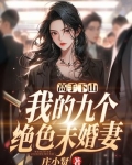 高手下山，我的九个绝色未婚妻