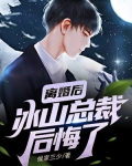 离婚后,冰山女总裁后悔了