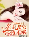 迷糊萌妻:亲亲老公抱不够下载