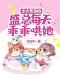 太太要离婚,盛总每天乖乖哄她 品阅小说网 | 李若年