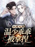 小妻太甜吻上瘾(小说)